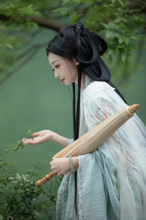 西风烈电视剧在线观看免费完整版